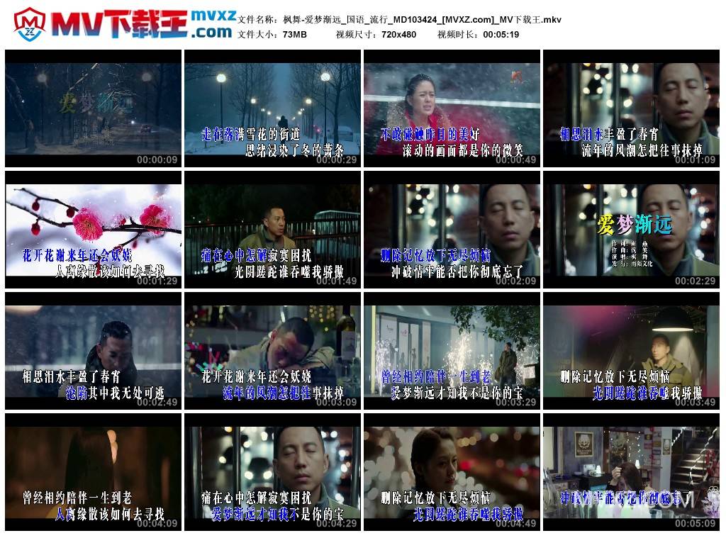 枫舞-爱梦渐远_国语_流行_MD103424
